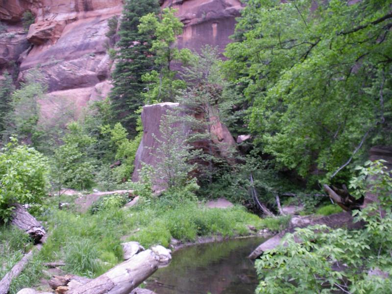 The Creek.JPG